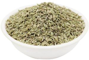 Fennel Seeds