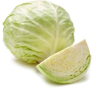 Fresh Cabbage