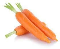 Fresh Carrots