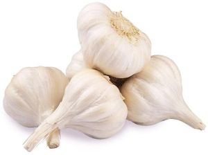 Fresh Garlic