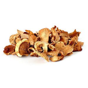 Dried Oyster Mushroom