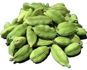 Cardamom 8MM