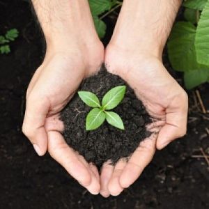 vermicompost