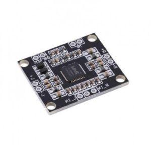 Digital Stereo Amplifier Module