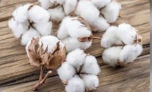 cotton raw material