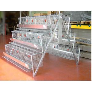 Stainless Steel Poultry Cage