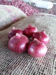 Nasik Red Onion