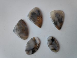 Dendrite Tiger Cabochons