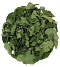 Moringa Oleifera Dried Leaves