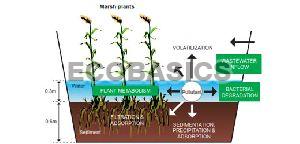 Ecological Remediation Services
