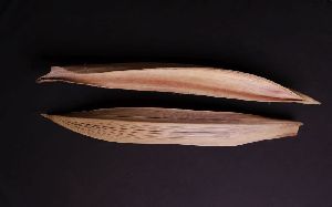 Natural Dried Coco Boat Leaf
