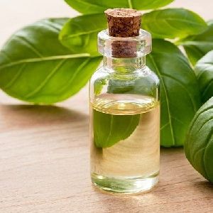 Basil Oil ( Methyl Chavicol 70 to 75%)