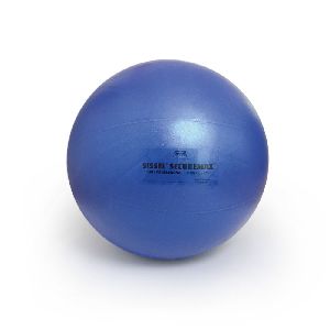 professional 75 cm exercise ball