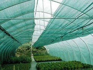 greenhouse net