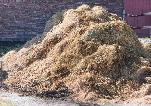 Agro Waste