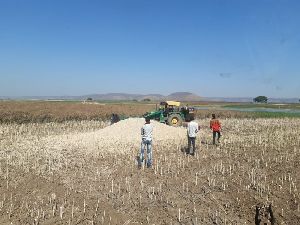 Agro Waste