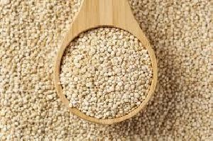 Kinova Seeds