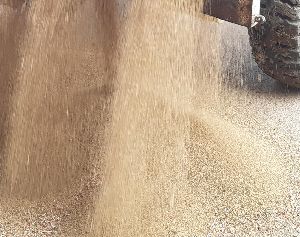 Kinova Seeds