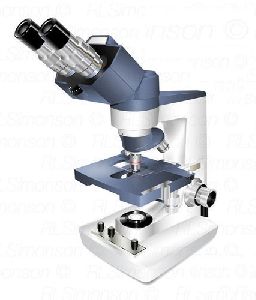 Compound Light Microscope