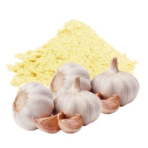 Ayurvedic Garlic