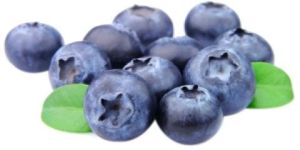 Fresh Blueberry