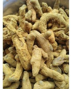 dried turmeric finger