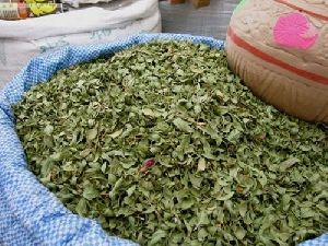 Dry Henna Leaves