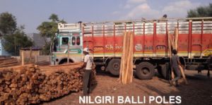 nilgiri wood poles