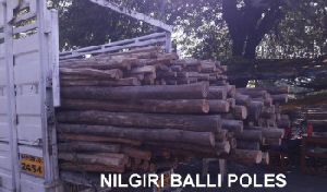 Nilgiri wooden pole