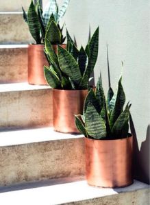 Copper Flower Pot