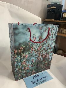 Fancy Paper Bags ( 32Cm x 26Cm x 10Cm)
