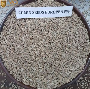 CUMIN SEEDS BEST QUALITY