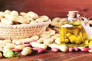 Groundnut Oil