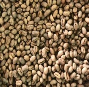 Arabica Coffee Beans