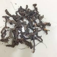 Nagarmootha Dry Root