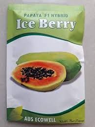 Papaya Ice Berry Seed