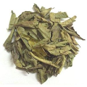 dry curry leaves