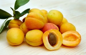 Fresh Apricot