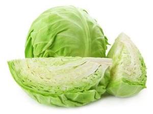 Fresh Cabbage