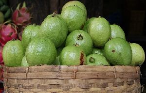 Fresh Guava