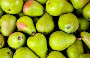 Fresh Pear