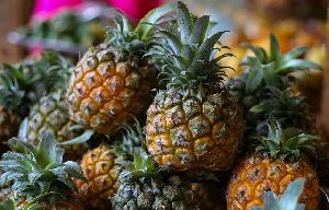 Fresh Pineapple