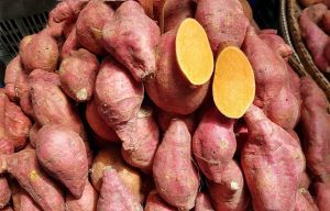 Fresh Sweet Potato