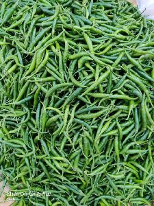 Fresh Green Chilli