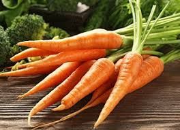 Fresh Carrot