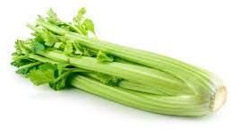 Fresh Celery Leaves