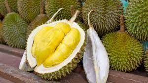 Fresh Durian Fruit