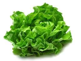 Fresh Lettuce Leaves