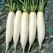 Fresh Radish