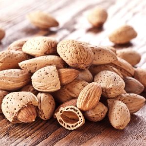 Almond Nuts